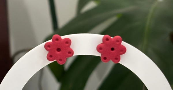 Pendientes Andrea rojo